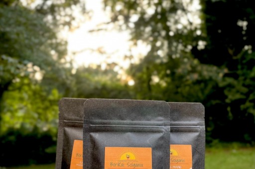 BoriKai Solganix - Merchandising