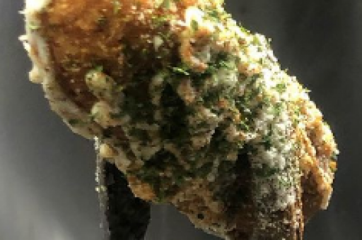 Daddy’s 2 Delights - Catering