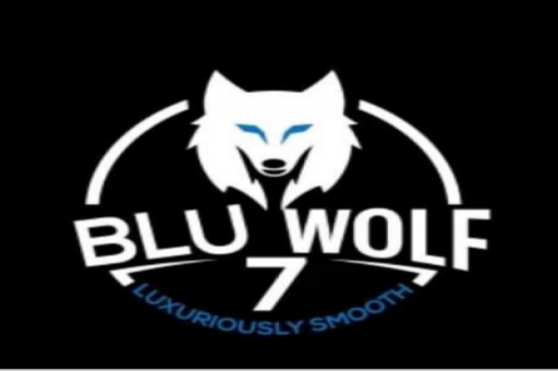 Blu Wolf 7 LLC - Other