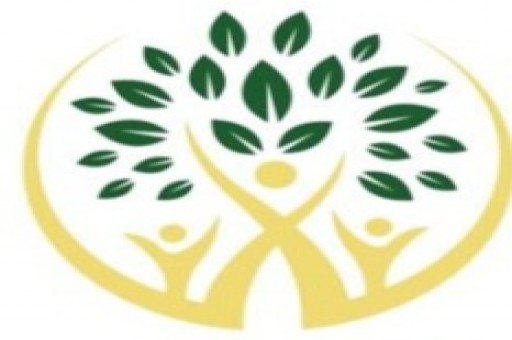 Original Wellness - Merchandising